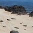  Land for sale in Santa Cruz, Mimaropa, Santa Cruz