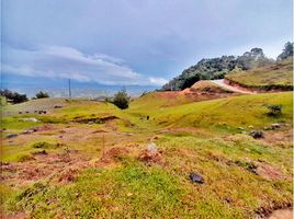  Land for sale in Penol, Antioquia, Penol