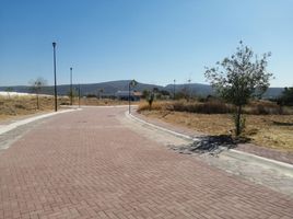  Terreno (Parcela) en venta en Lagos De Moreno, Jalisco, Lagos De Moreno