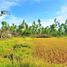  Land for sale in Talibon, Central Visayas, Talibon