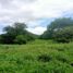  Land for sale in Compostela, Nayarit, Compostela