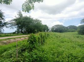  Land for sale in Compostela, Nayarit, Compostela