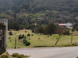  Land for sale in Mineral Del Chico, Hidalgo, Mineral Del Chico