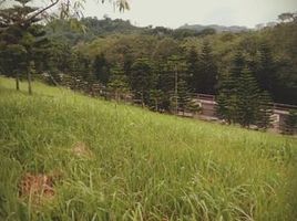  Land for sale in Talisay, Batangas, Talisay