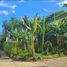  Land for sale in Cebu Central Visayas, Cebu City, Cebu, Central Visayas, Philippines