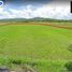  Land for sale in Nasugbu, Batangas, Nasugbu