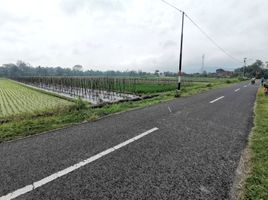  Land for sale in Prambanan Temple , Prambanan, Prambanan