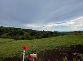  Land for sale in Pereira, Risaralda, Pereira