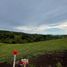  Land for sale in Pereira, Risaralda, Pereira, Risaralda
