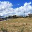 2 Bedroom House for sale in Cebu Central Visayas, Aloguinsan