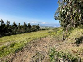  Terrain for sale in Malchingui, Pedro Moncayo, Malchingui