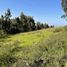  Land for sale in Pichincha, Malchingui, Pedro Moncayo, Pichincha