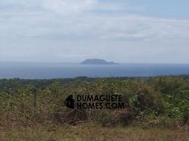  Land for sale in Dauin, Negros Oriental, Dauin