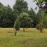  Casa en venta en Araucanía, Villarrica, Cautín, Araucanía