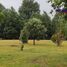  Casa en venta en Araucanía, Villarrica, Cautín, Araucanía