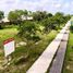  Terreno (Parcela) en venta en Merida, Yucatán, Merida