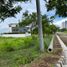  Terreno (Parcela) en venta en Lapu-Lapu City, Central Visayas, Lapu-Lapu City, Cebu