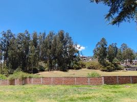  Land for sale in Alangasi, Quito, Alangasi