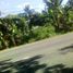  Land for sale in Dumanjug, Cebu, Dumanjug