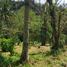  Land for sale in Cavite, Calabarzon, Tagaytay City, Cavite