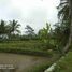  Land for sale in Yogyakarta, Sleman, Sleman, Yogyakarta