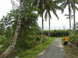  Land for sale in Sleman, Yogyakarta, Sleman, Sleman