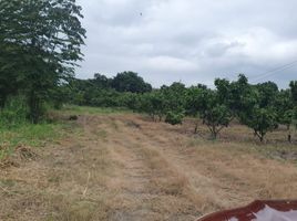  Land for sale in Duran, Guayas, Eloy Alfaro Duran, Duran