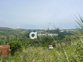  Grundstück zu verkaufen in Lebrija, Santander, Lebrija