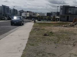  Grundstück zu verkaufen in Queretaro, Queretaro, Queretaro, Queretaro
