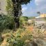  Land for sale in Huitzilac, Morelos, Huitzilac