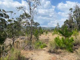  Terrain for sale in Boyaca, Villa De Leyva, Boyaca