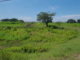  Terreno (Parcela) en venta en Samborondón, Guayas, Samborondon, Samborondón