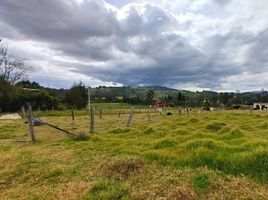  Terrain for sale in Boyaca, Paipa, Boyaca