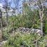  Terreno (Parcela) en venta en Cancún, Quintana Roo, Cancún
