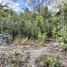  Terreno (Parcela) en venta en Cancún, Quintana Roo, Cancún