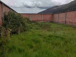  Terrain for sale in Quispicanchi, Cusco, Oropesa, Quispicanchi