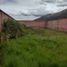  Terrain for sale in Quispicanchi, Cusco, Oropesa, Quispicanchi