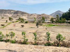  Land for sale in Pachacamac, Lima, Pachacamac