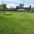  Land for sale in Quito, Pichincha, Puembo, Quito