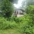  Land for sale in Luna, Cagayan Valley, Luna