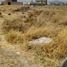  Land for sale in San Jeronimo Tecuanipan, Puebla, San Jeronimo Tecuanipan