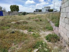  Grundstück zu verkaufen in Pachuca De Soto, Hidalgo, Pachuca De Soto