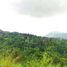 Terrain à vendre à Calamba City, Calabarzon, Calamba City
