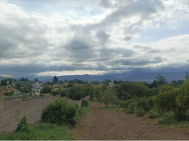  Land for sale in Puembo, Quito, Puembo