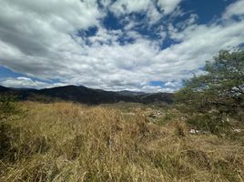  Land for sale in Loja, Malacatos Valladolid, Loja, Loja