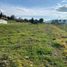  Land for sale in Cumbe, Cuenca, Cumbe