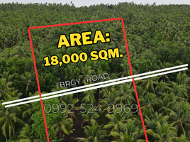  Land for sale in San Francisco, Cebu, San Francisco