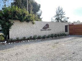  Terreno (Parcela) en venta en Chincha Baja, Chincha, Chincha Baja