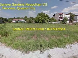  Grundstück zu verkaufen in Quezon City, Metro Manila, Quezon City, Eastern District, Metro Manila, Philippinen