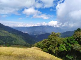  Land for sale in Sabaneta, Antioquia, Sabaneta